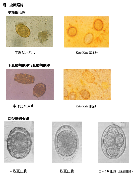 QQ图片20160712233814.png