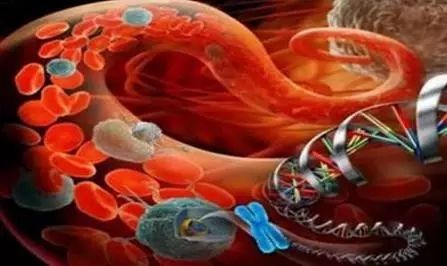 640.webp.jpg 640.webp.jpg